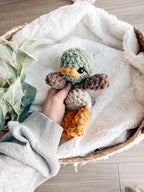 Little Ray Crochet Animals