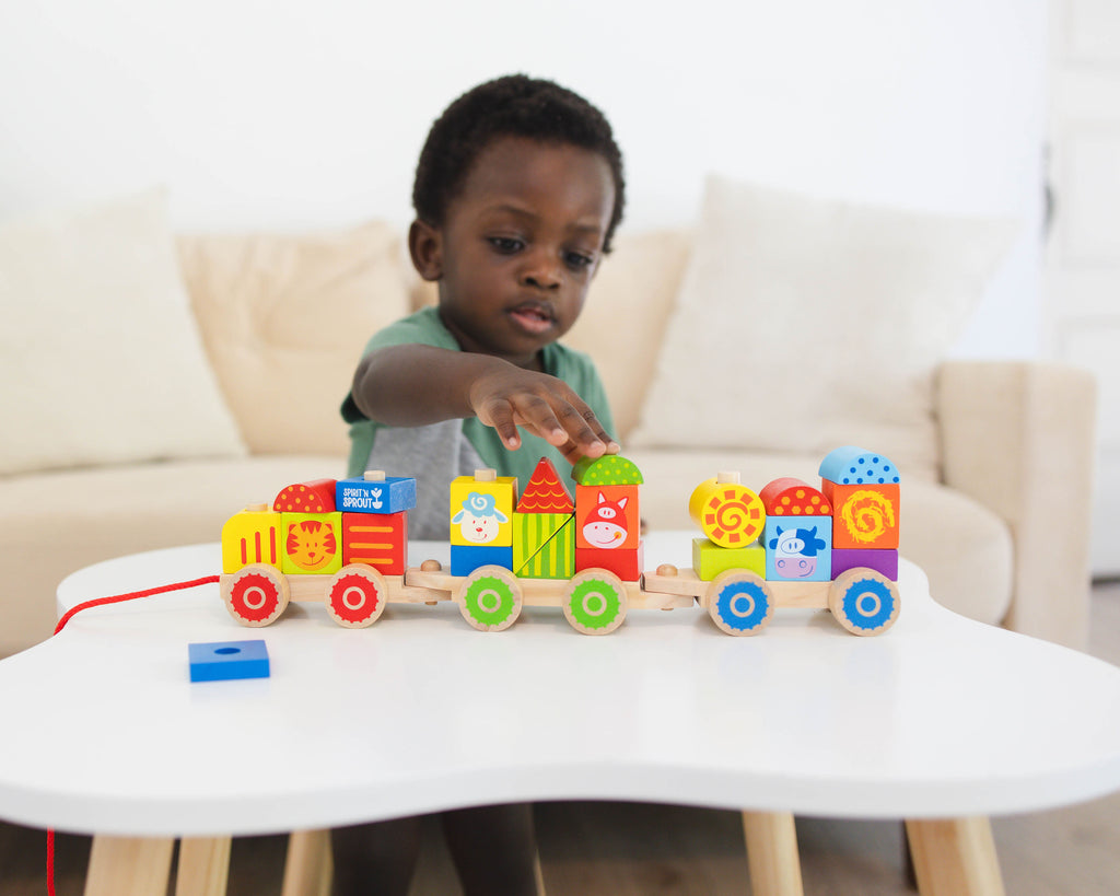 Spirit’N Sprout Toys